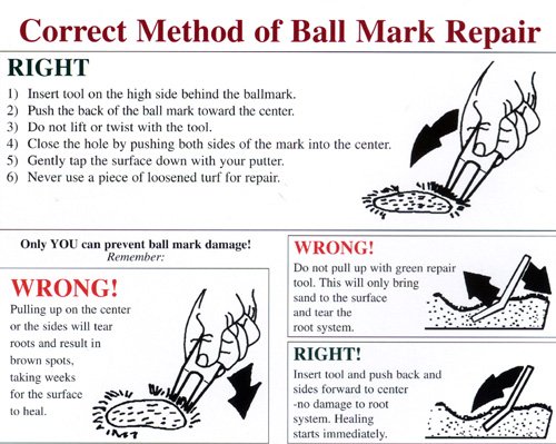 Ball_Mark_Repair